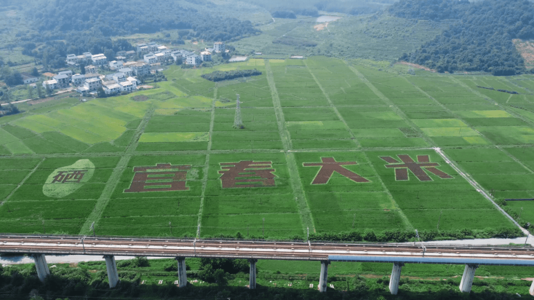 会“呼吸”更会“生金”不朽情缘版江西这片乡野(图2)